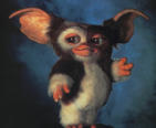 mogwai.jpg