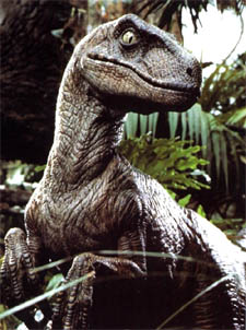 raptor.jpg